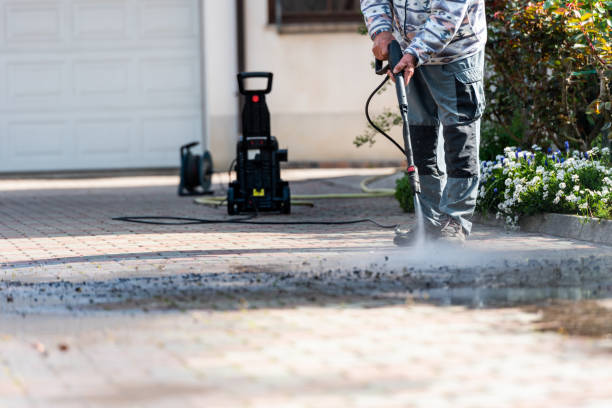 Roof Power Washing Services in St Elmo, IL